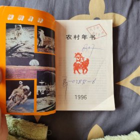 农村年书