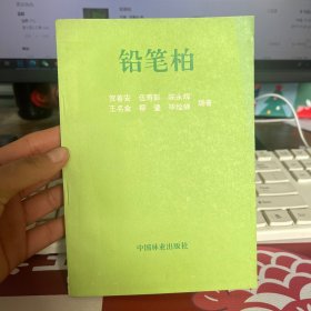 铅笔柏