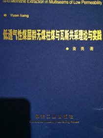 低透气性煤层群无煤柱煤与瓦斯共采理论与实践