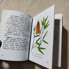 实用中草药彩色图谱