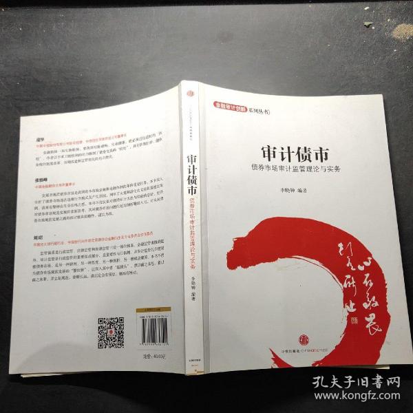 金融设计创新系列丛书·审计债市：债券市场审计监管理论与实务