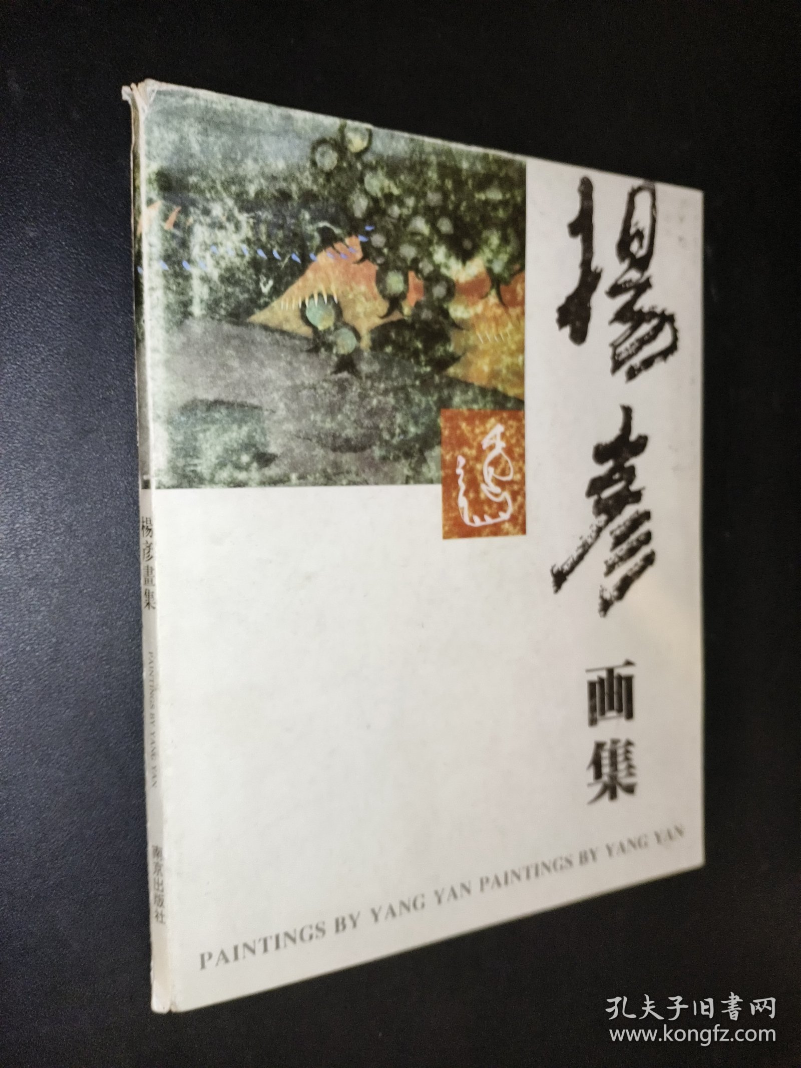 杨彦画集