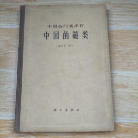 中国各门类化石 中国的䗴类