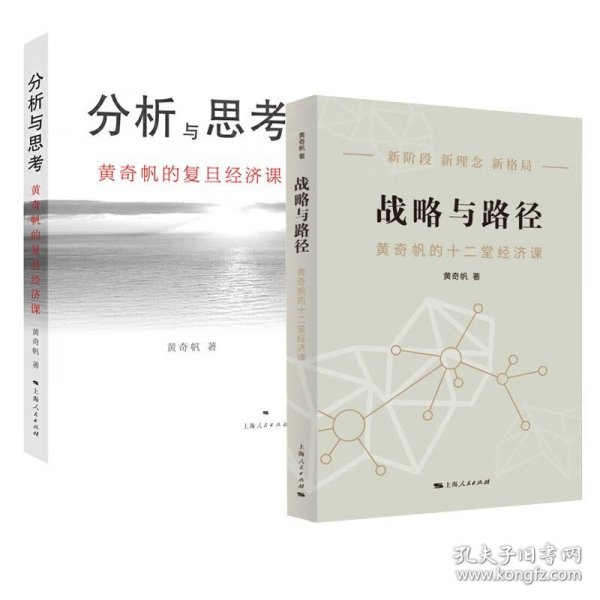 战略与路径+分析与思考