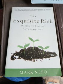 The Exquisite Risk: Daring to Live an Authentic Life