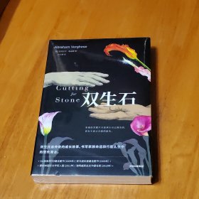 双生石