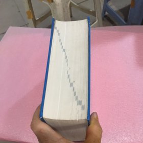 中国成语大辞典