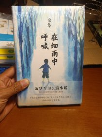在细雨中呼喊