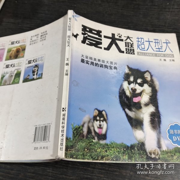 爱犬大联盟：超大型犬