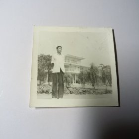 老照片–80年代白衣青年在景区留影（身后柳树和建筑清晰可见）
