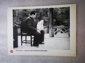 老照片：1949年4月23日，毛泽东在北平香山双清别墅看南京解放的捷报