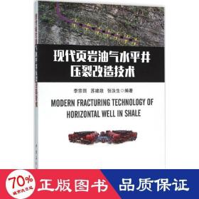 现代页岩油气水井压裂改造技术 能源科学 李宗田,苏建政,张汝生 编