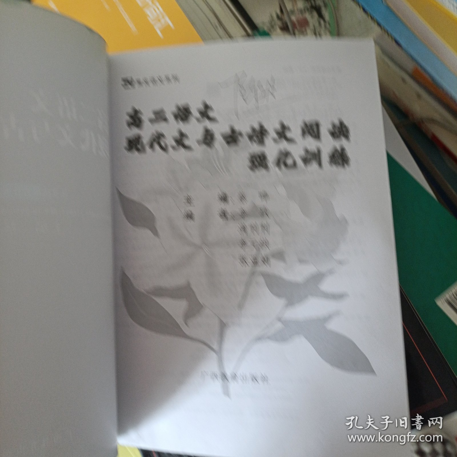 黑皮语文系列·高二语文现代文与古诗文阅读强化训练（第3次修订）