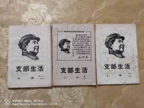 支部生活 上海：1969增刊（2）、1969（17）、1969（19），共3期，三份合售。