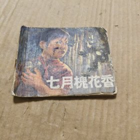 七月槐花香