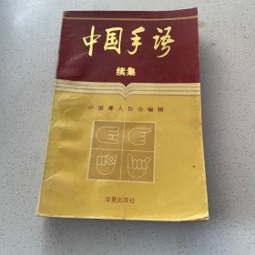 中国手语:续集