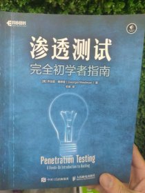 渗透测试完全初学者指南(异步图书出品)