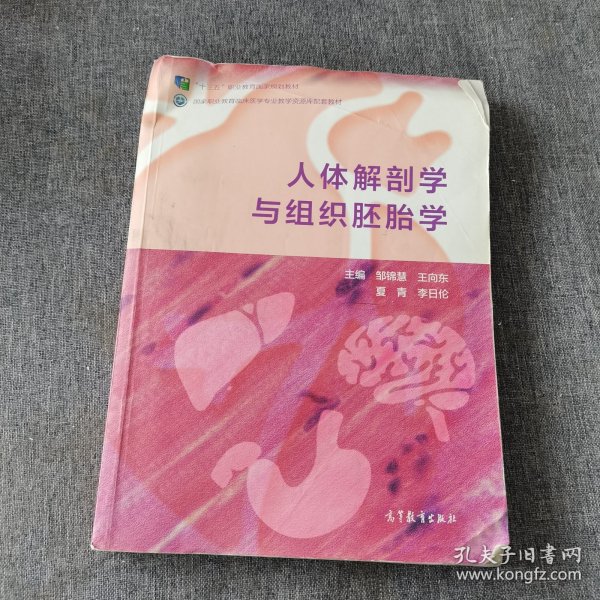 人体解剖学与组织胚胎学