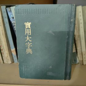 实用大字典