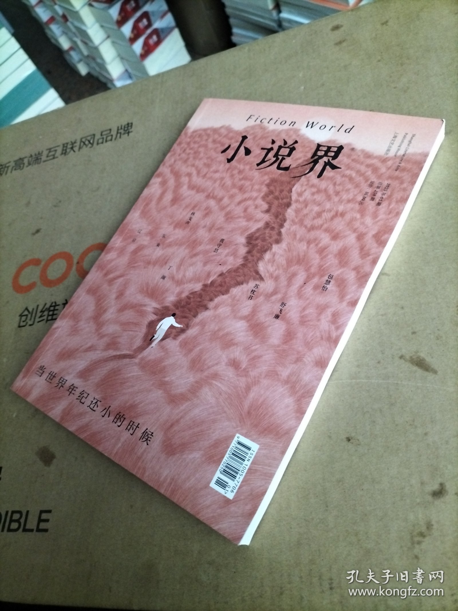小说界 当世界年纪还小的时候（2025年01期，总第258期）