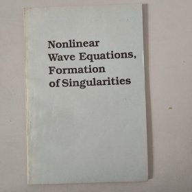 Nonlinear Wave Equations, Formation of Singularities