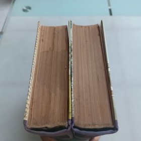 金瓶梅词话（上下册）