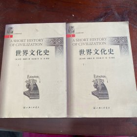 世界文化史（上下）