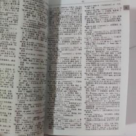 最新简明英汉词典