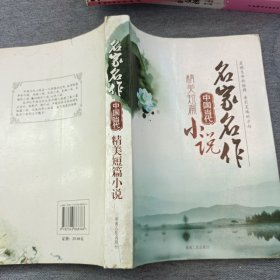 中国当代精美短篇小说