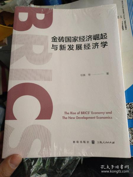 金砖国家经济崛起与新发展经济学