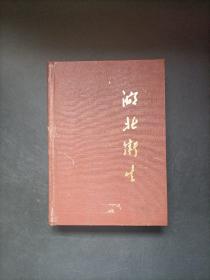 湖北卫生 1977年第1~7期 1977年第1 2期增刊 共计9本合售