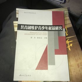 共青团维护青少年权益研究