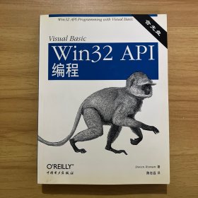 Visual Basic Win32 API编程