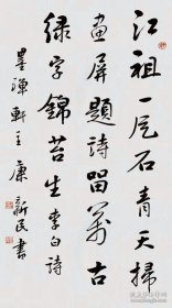 [康新民书法]中国书法家协会理事