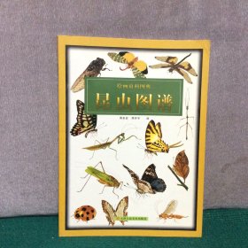绘画资料图典：昆虫图谱