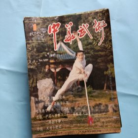 中华武术杂志，28本，不重复