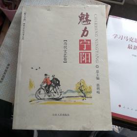 魅力宁阳（当代文艺卷）