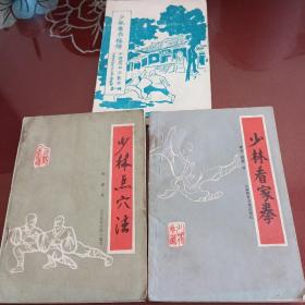 少林看家拳，少林点穴法，少林拳术密传，