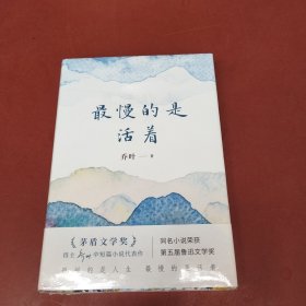 最慢的是活着(第十一届茅盾文学奖得主乔叶中短篇小说代表作)