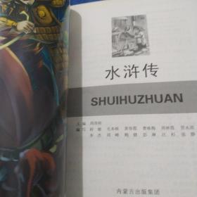 大视野阅读：水浒传（如多单只收一单运费，拍完改价后再付款）