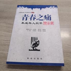 青春之痛：未成年人犯罪警示录