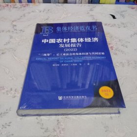 中国农村集体经济发展报告 9787522805528 陈雪原, 孙梦洁, 王洪雨等著 社会科学文献出版社