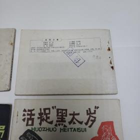 80年代连环画。雪地英雄。茅山风云。太行小兵。珊瑚笛。真假特派员。活捉黑太岁。太湖渔侠。抓舌头。无声的战斗。格萨尔王焚妖尸《十本合售》