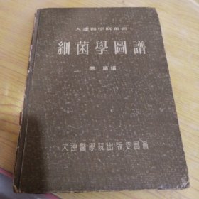 细菌学图谱