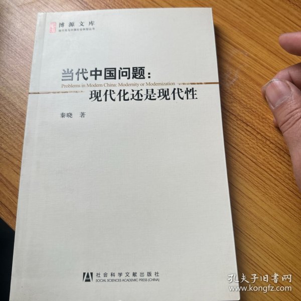 当代中国问题：现代化还是现代性