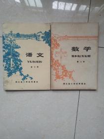 小学语文、数学第七册两册一套全，数学用的二简字