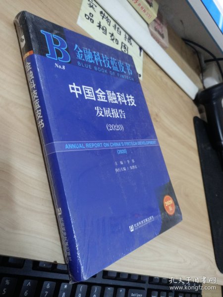 中国金融科技发展报告（2020）/金融科技蓝皮书