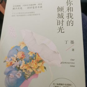 你和我的倾城时光