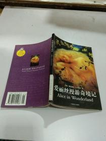 爱丽丝漫游奇境记