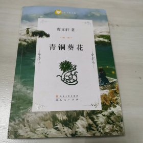 青铜葵花